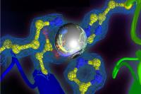 A New Guide for Explorers of the Submicroscopic World Inside Us