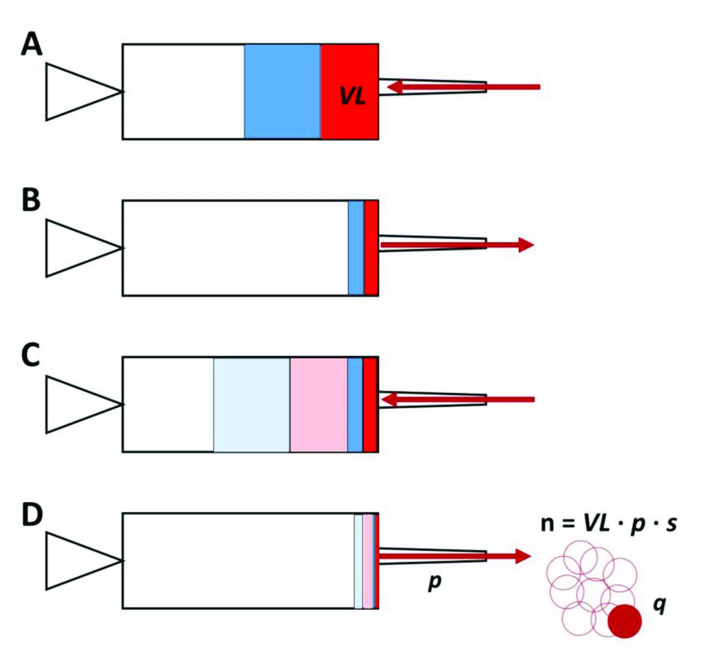 A Hepatitis C Vaccine Could Lower Transmission Risk in Drug Users (2 of 2)