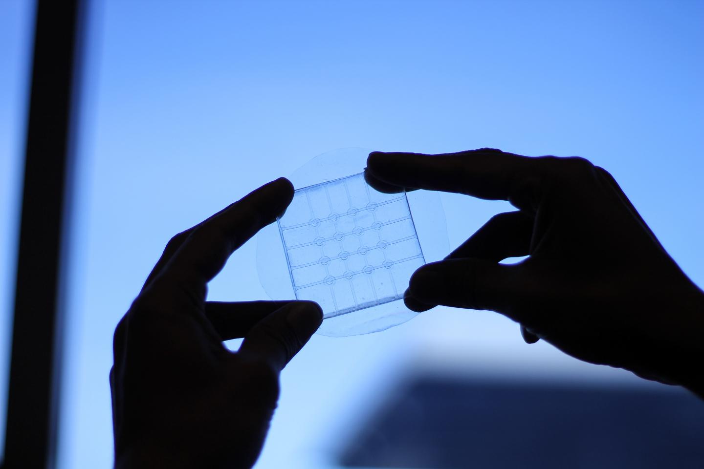 Flexible Sensor