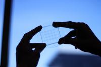 Flexible Sensor