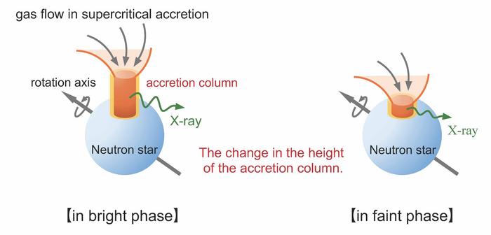 Changes in the height of the accretion column corresponding to variations in luminosity