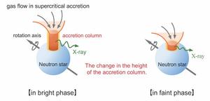 Changes in the height of the accretion column corresponding to variations in luminosity