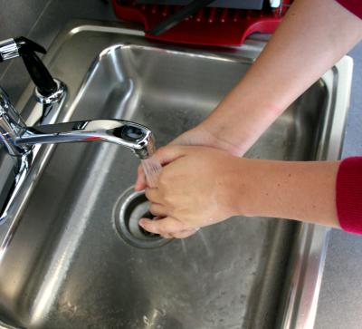 Did You Wash Your Hands?