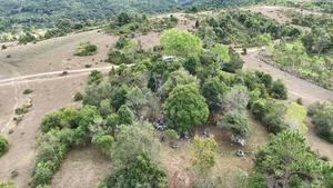 Drone photo
