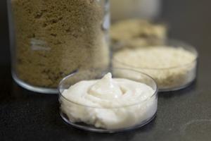 Rice-based cheese and rice proteins