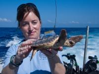 Kate Mansfiled, University of Miami Rosenstiel School of Marine & Atmospheric Science
