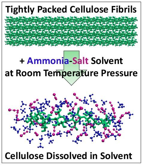 Cellulose Solvent