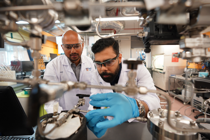 Prof Praveen Linga and research team member in the research lab