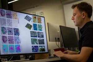 Open data is changing the way cities are studied