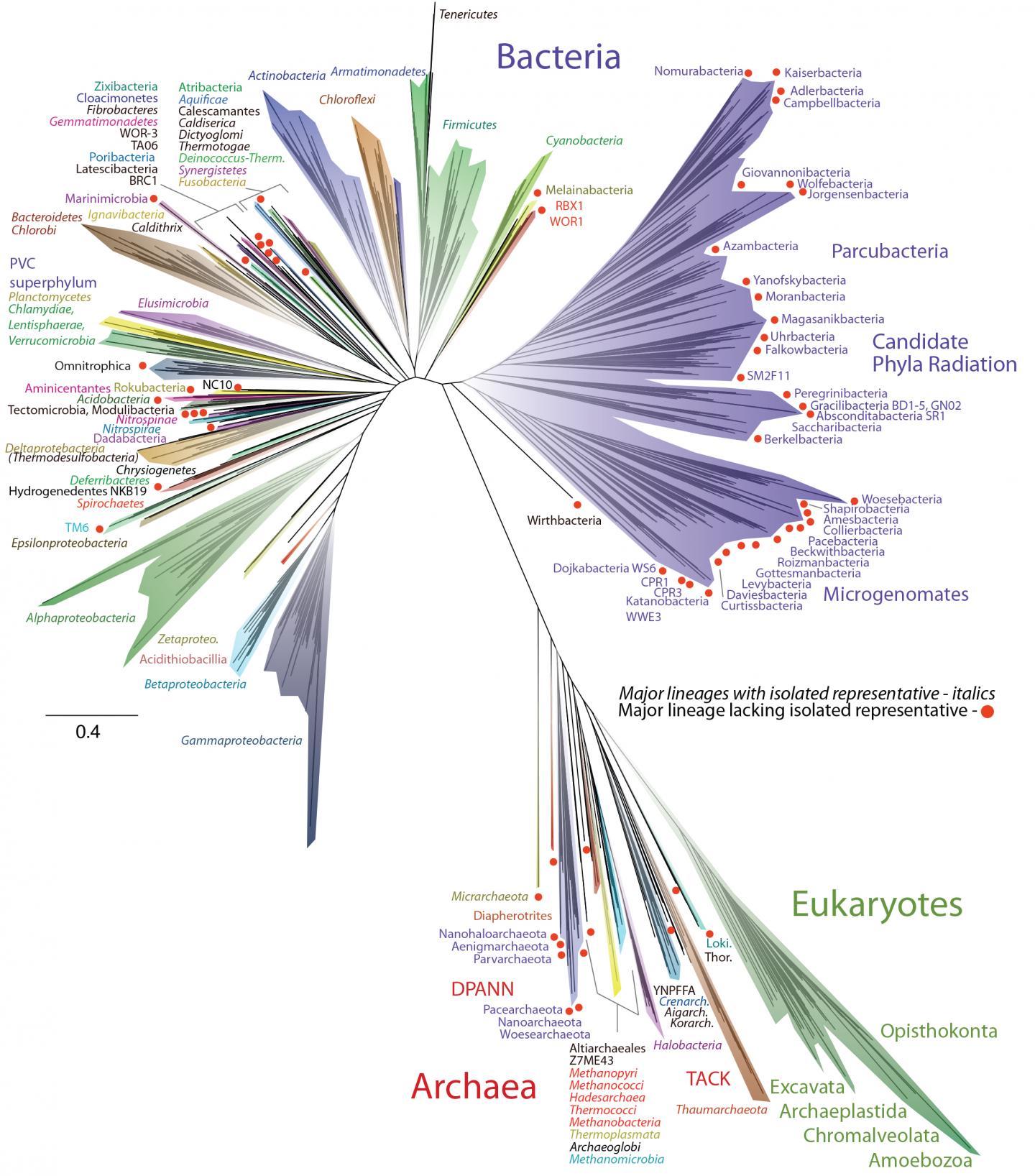 Newly Expanded Tree of Life