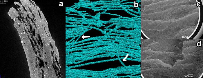 X-ray Cross-Section, 3D Scan, and SEM Images of Threads Found in Shizunai-Nakano Style Pottery