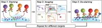 Cycle Process Figure