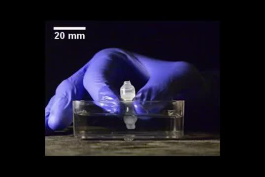 A Bath for Precision Printing of 3-D Silicone Structures (9 of 10)