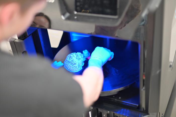Student printing brain model