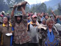 Enga offer pork as compensation