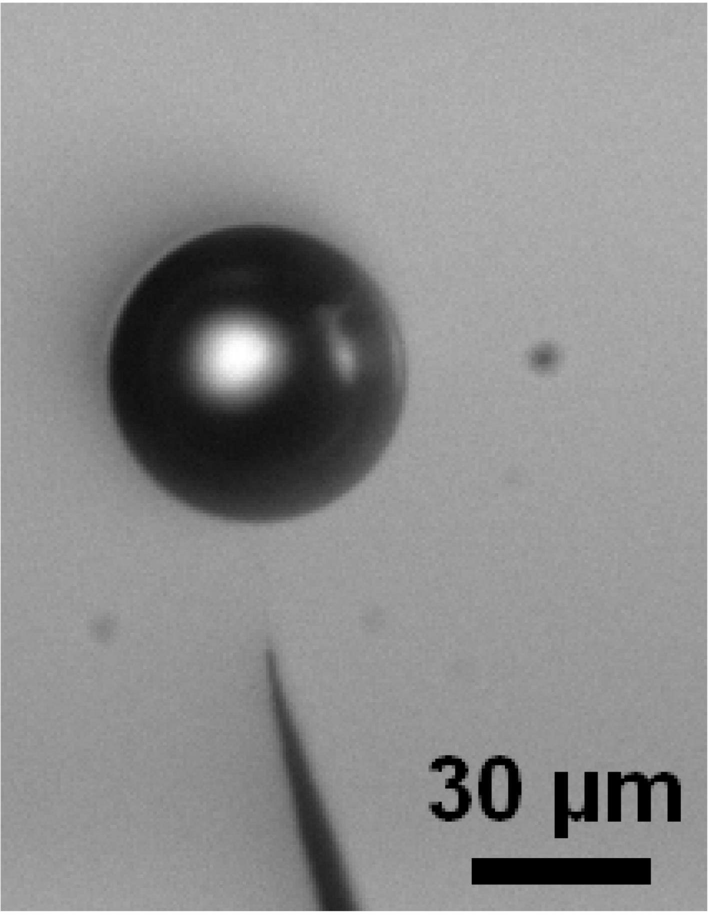 Microbubble Immobilized in the Solution, above the Apex of the Nanoelectrode