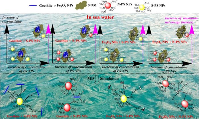 Heteroaggregation and sedimentation of natural goethite and artificial Fe3O4 nanoparticles with polystyrene nanoplastics in water