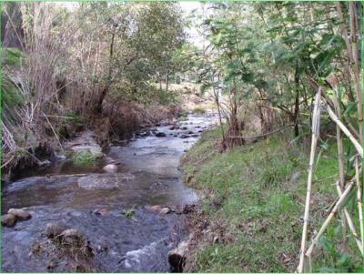 Portugal, Natural Habitat