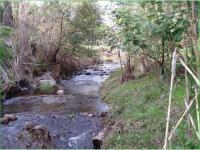 Portugal, Natural Habitat