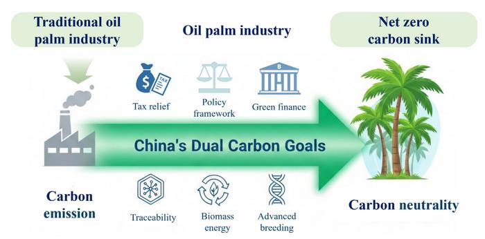 Integrating the palm oil industry into China's Dual Carbon goals: governance and technological pathways