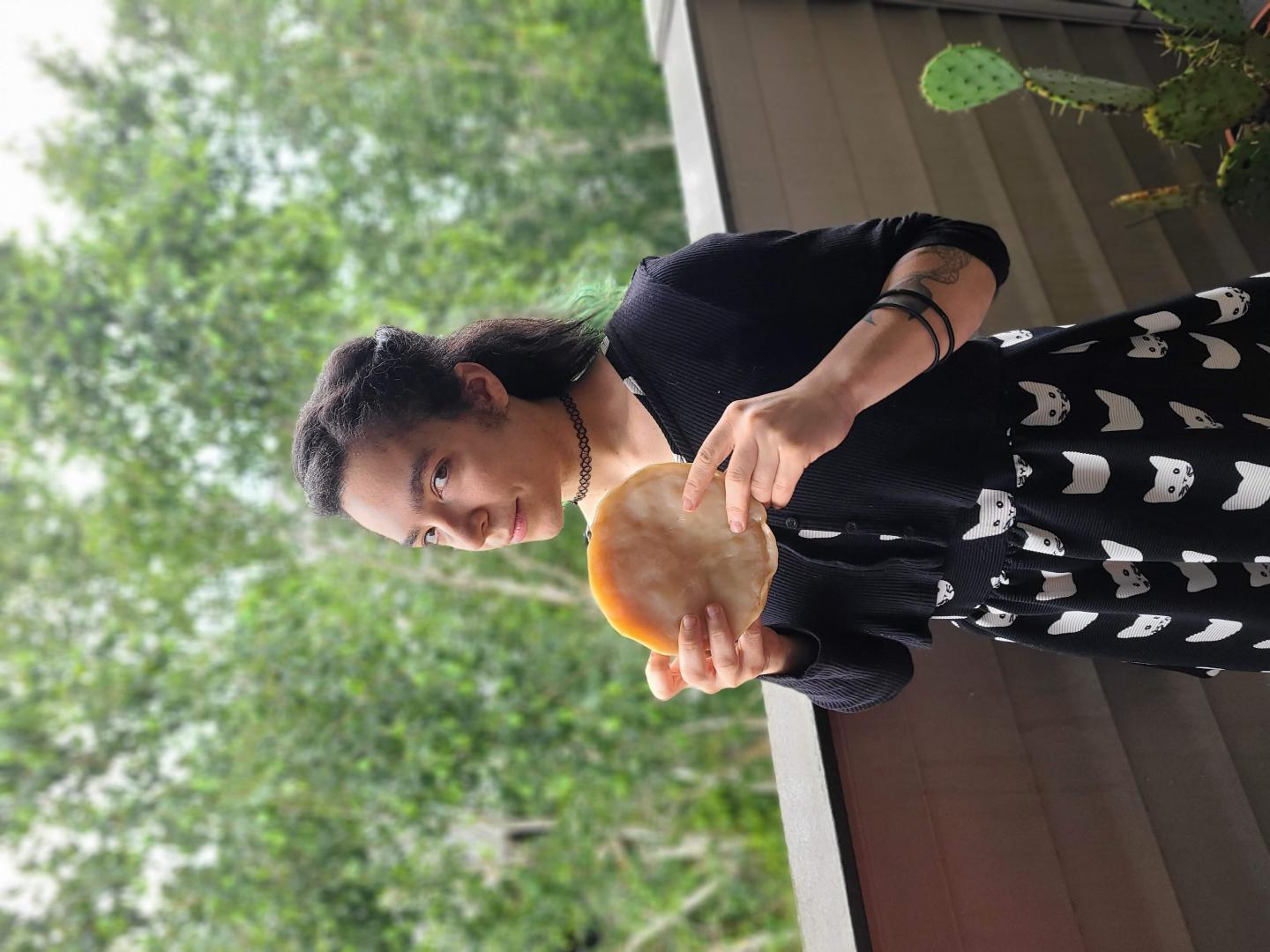 kombucha SCOBY