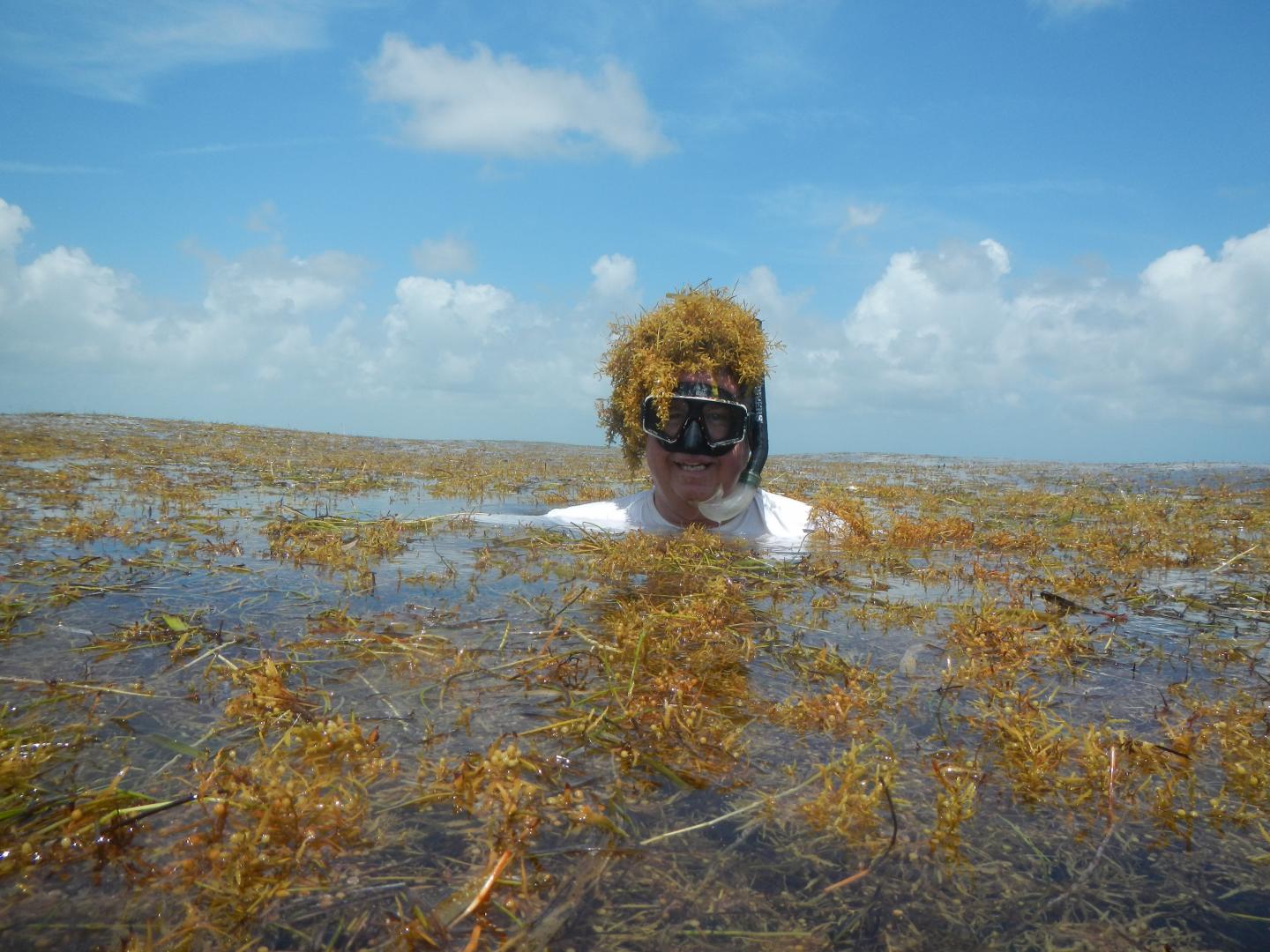 FAU Harbor Branch Scientist Brian Lapointe
