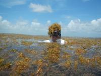 FAU Harbor Branch Scientist Brian Lapointe