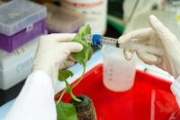 High Yield, Low Production Costs