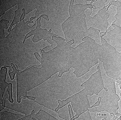 Graphene Sublimation