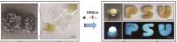 Stem Cell Culture