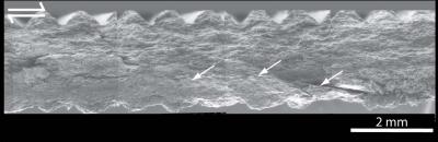 Shear Image