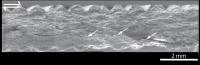 Shear Image