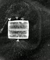 Microcurrents created by ciliate epibionts