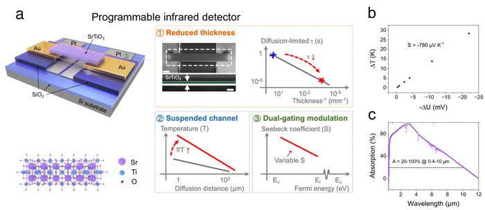 Suspended nanometer-thick SrTiO3 photothermoelectric detector