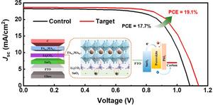 Reducing the Voc Loss of Hole Transport Layer-Free Carbon-Based Perovskite Solar Cells via Dual Interfacial Passivation