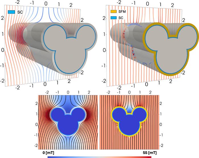 3D and cross-sectional views
