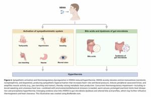 Sympathetic activation and thermoregulatory dysregulation in MDMA-induced hyperthermia.