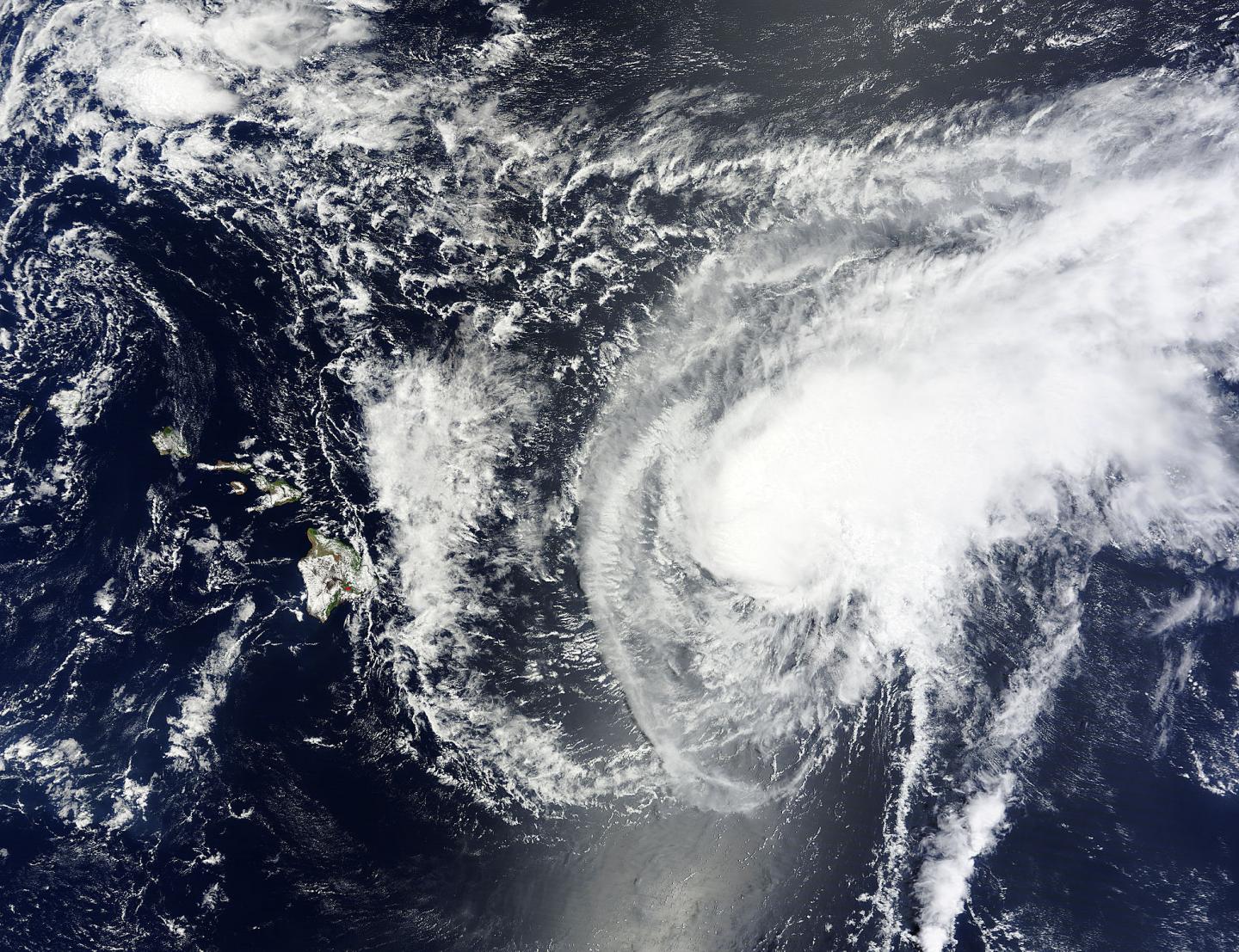 Terra Image of Guillermo