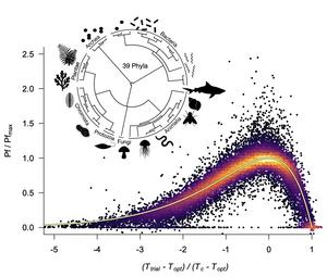 Biological performance across the tree of life