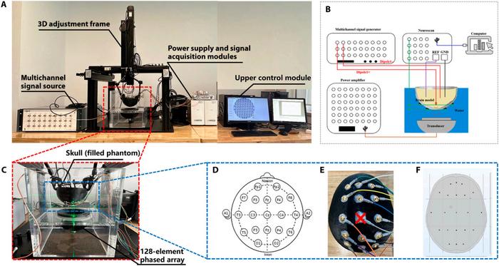 Schematic diagram of the ultrasonic phased-array experimental platform.