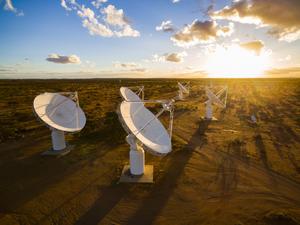 ASKAP antennas in early sunlight