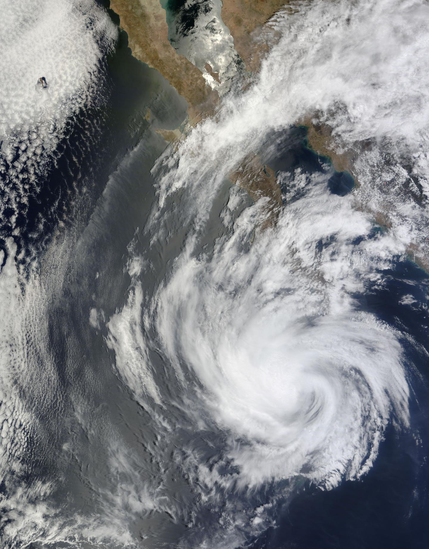 Terra Image of Blanca