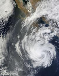 Terra Image of Blanca