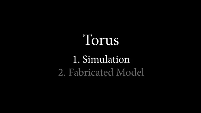 Torus_simulated