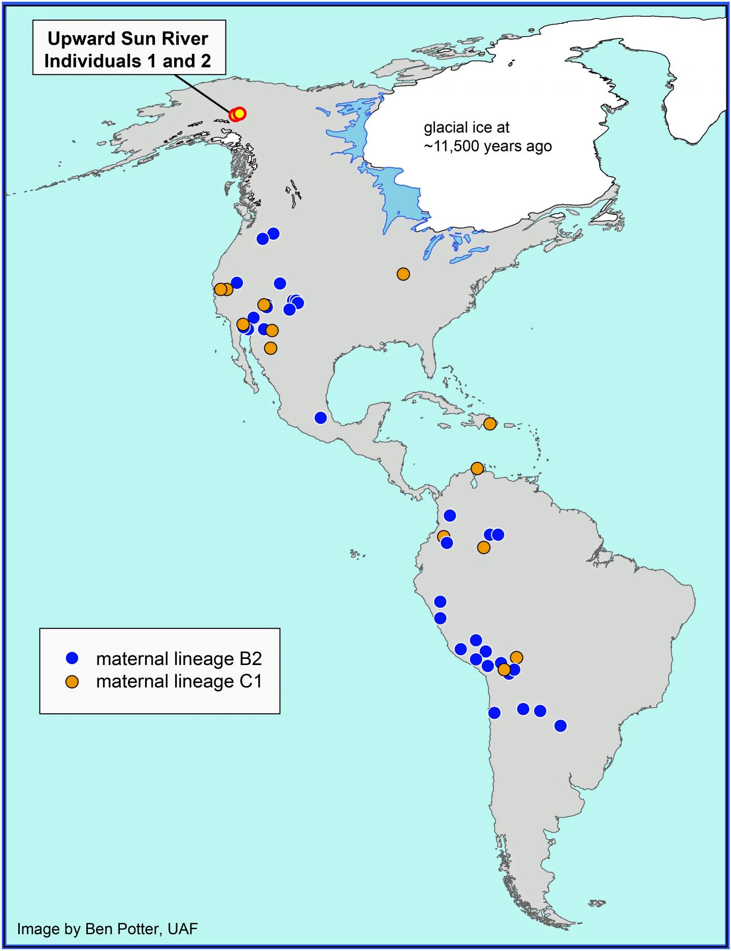 Native American Lineages Related to Upward Sun River Infants