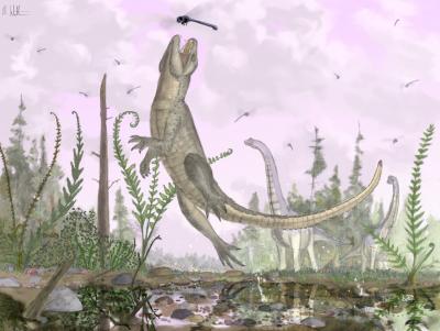 Artist's Rendering of <I>Pakasuchus</I>