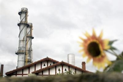 CO2 Reduction Policies in Spain Strengthen the Services Sector