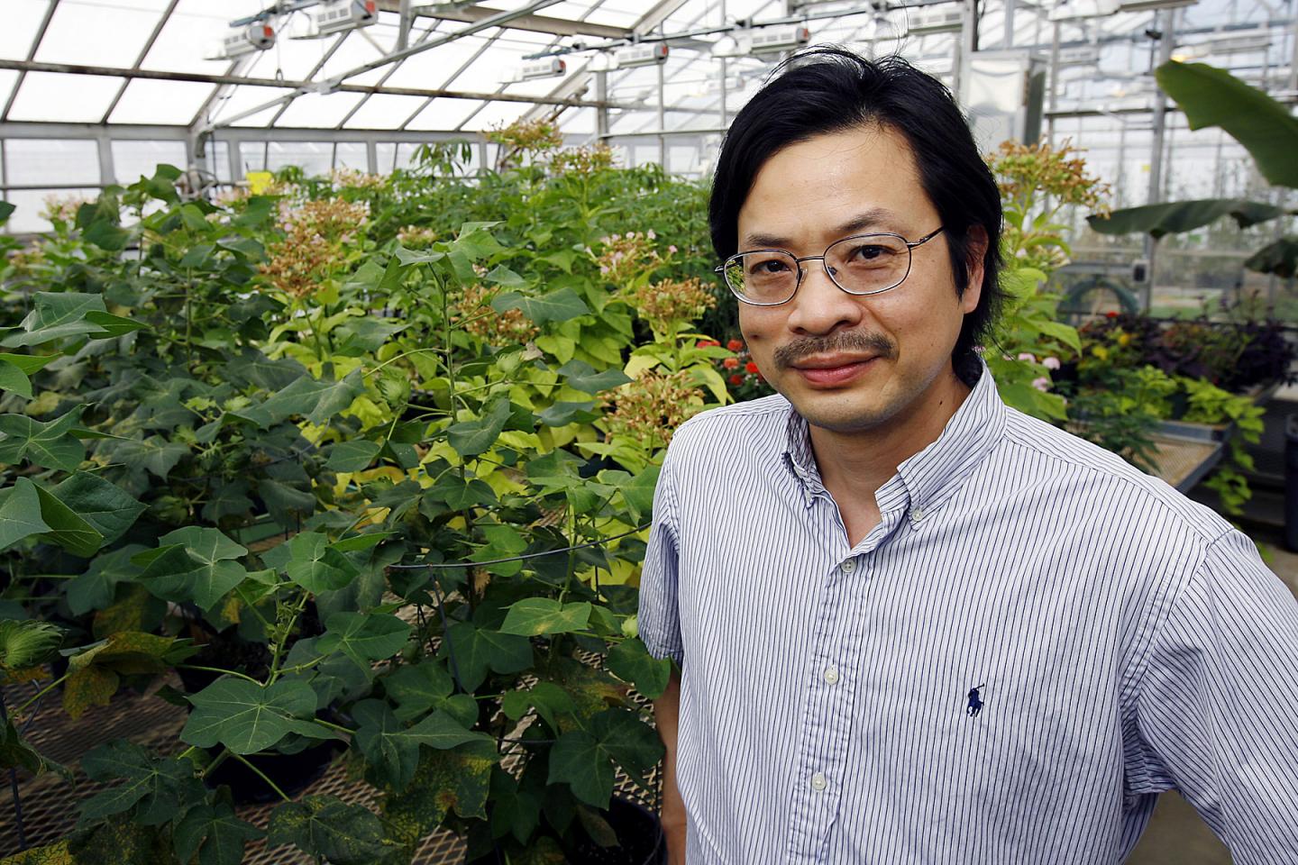 Sheng Yang He, Michigan State University