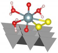 US Molecule