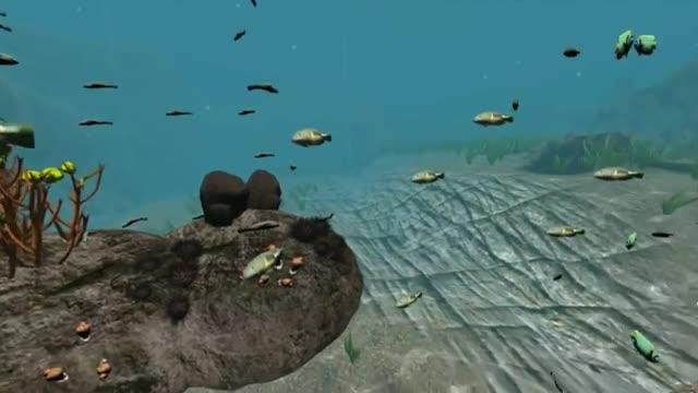 Virtual Reality and the Environment